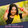 About Dil Ke Zakham H Song